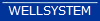 WELLSYSTEM